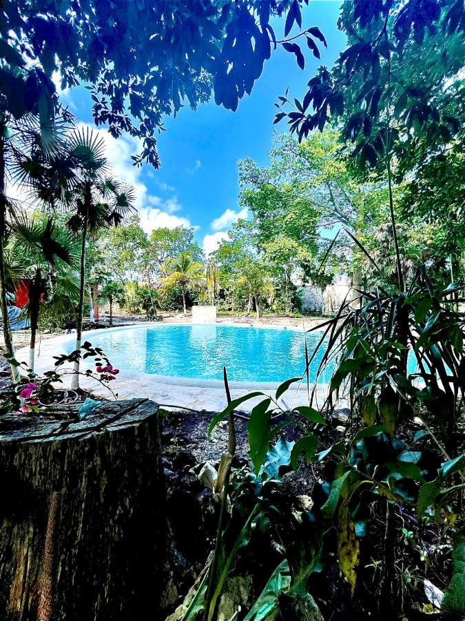Hotel Tequila Cancun Alfredo V. Bonfil Exterior foto
