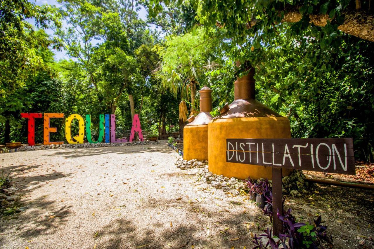 Hotel Tequila Cancun Alfredo V. Bonfil Exterior foto
